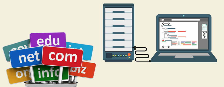 Domain - Web Hosting